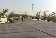 龍崗與坪山地區(qū)房屋補漏及管道疏通服務解析