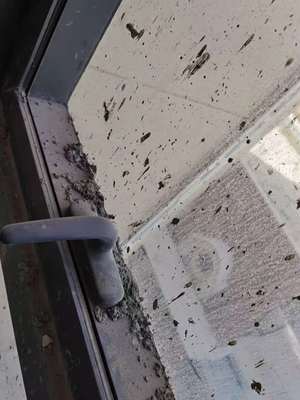 西寧專業保潔與維修服務指南 開荒、精保潔、清洗及防水補漏