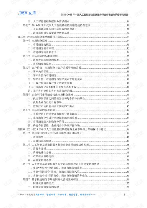 2021-2025年中國人工智能基礎(chǔ)數(shù)據(jù)服務(wù)與行業(yè)應(yīng)用系統(tǒng)集成服務(wù)市場細(xì)分策略研究報(bào)告