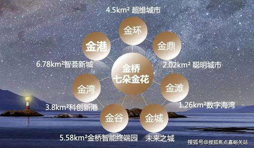 金港星海灣項(xiàng)目全解析 從戶型價(jià)格到人工智能行業(yè)應(yīng)用集成